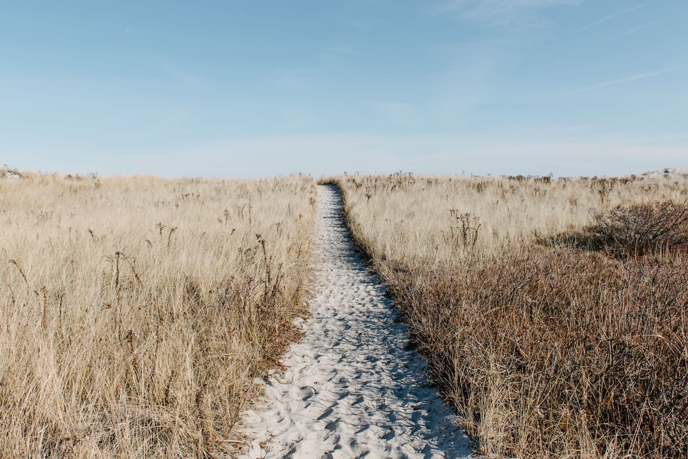 A sandy path through tall dry grass under a blue sky