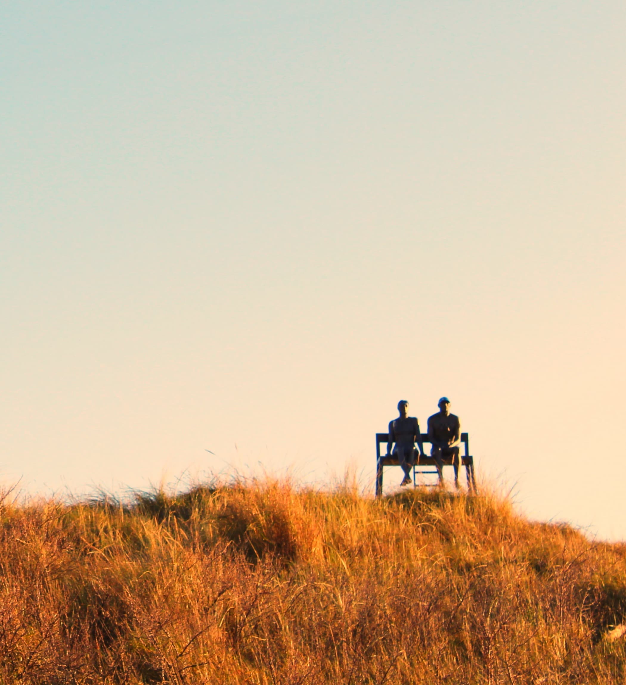 Two people sitting together on a bench on a grassy dune at sunset